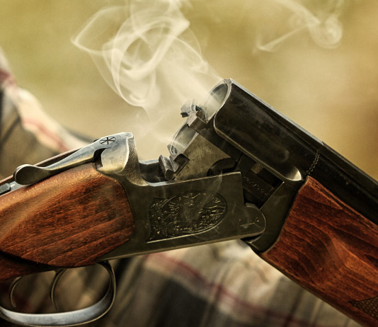 Confronto assessore-cacciatori sul calendario venatorio della Campania calendario venatorio della campania: fumo da fucile aperto dopo lo sparo