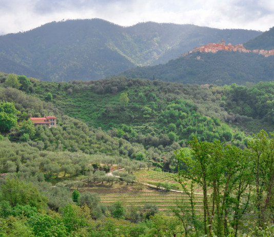 Approvato il piano faunistico-venatorio della Liguria piano faunistico-venatorio della Liguria: paesaggio al confine tra Liguria e Toscana