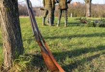Caccia in Lombardia, le novità caccia in Lombardia: fucile appoggiato a un tronco, davanti due cacciatori di spalle