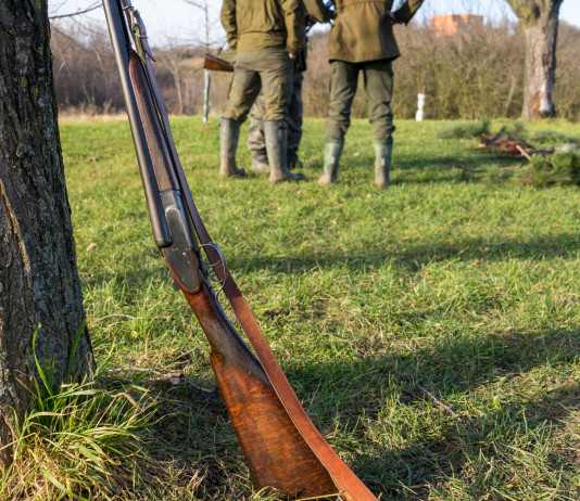 Caccia in Lombardia, le novità caccia in Lombardia: fucile appoggiato a un tronco, davanti due cacciatori di spalle