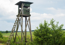 Convocato il consiglio che eleggerà il nuovo presidente nazionale di Arcicaccia Convocato il consiglio che eleggerà il nuovo presidente nazionale di Arcicaccia: altana da caccia