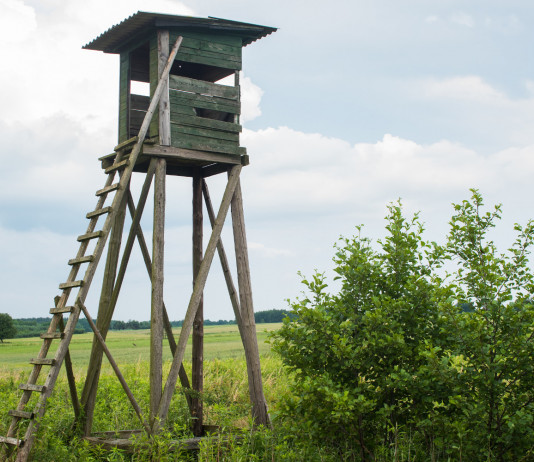 Convocato il consiglio che eleggerà il nuovo presidente nazionale di Arcicaccia Convocato il consiglio che eleggerà il nuovo presidente nazionale di Arcicaccia: altana da caccia