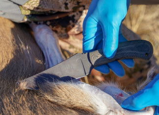 Eviscerazione degli ungulati: non chiamatelo lavoro sporco eviscerazione degli ungulati