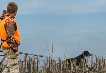 Presentata richiesta di altro referendum abrogativo della legge sulla caccia referendum sulla caccia: cacciatore in alta visibilità con cane