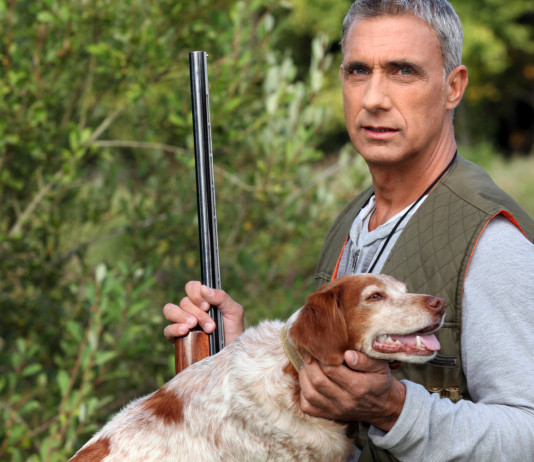 Tutela degli animali in Costituzione, primo sì del Senato tutela degli animali in costituzione: cacciatore con carabina accarezza setter inglese bianco-arancio