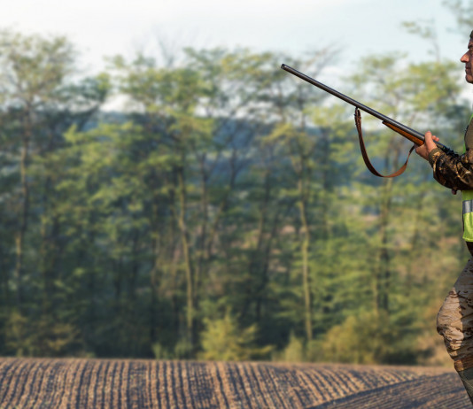 Approvato il calendario venatorio del Lazio 2021/2022 calendario venatorio del lazio: cacciatore in atteggiamento di caccia