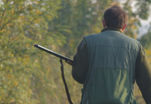 Approvato il calendario venatorio dell’Abruzzo 2021/2022 calendario venatorio dell’Abruzzo 2021/2022: cacciatore di spalle con fucile