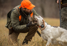 Caccia Magazine luglio 2021 in edicola dal 19 giugno caccia magazine luglio 2021: cacciatore e cane con fagiano in bocca