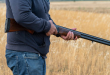 Calendario venatorio della Toscana 2021/2022, le considerazioni della Cct calendario venatorio della Toscana: cacciatore con fucile in campo di grano