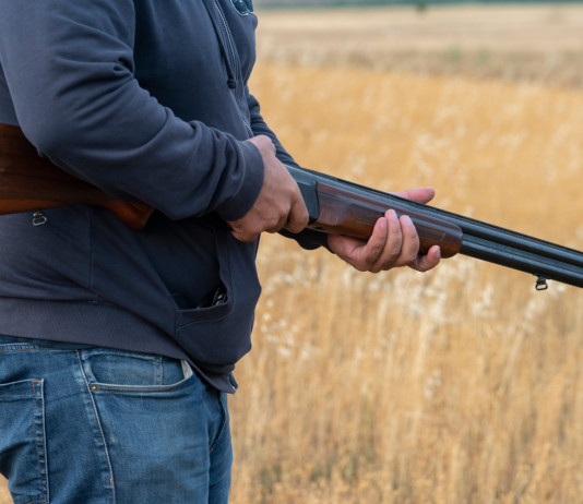 Calendario venatorio della Toscana 2021/2022, le considerazioni della Cct calendario venatorio della Toscana: cacciatore con fucile in campo di grano