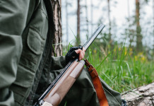 Calendario venatorio dell’Umbria, commissione ha espresso parere calendario venatorio dell'Umbria: cacciatore con fucile nel bosco