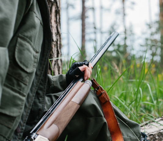 Calendario venatorio dell’Umbria, commissione ha espresso parere calendario venatorio dell'Umbria: cacciatore con fucile nel bosco