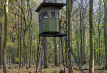 Congresso di Arcicaccia aperto ad Atc e Comprensori alpini congresso di Arcicaccia: altana nella foresta