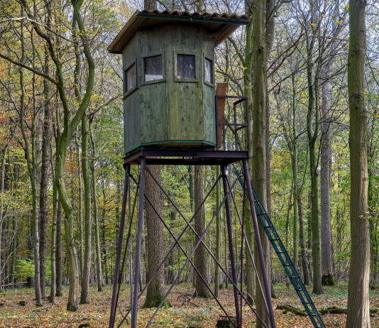 Congresso di Arcicaccia aperto ad Atc e Comprensori alpini congresso di Arcicaccia: altana nella foresta