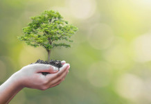 Il comitato scientifico della Fondazione Una si rinnova Il comitato scientifico della Fondazione Una si rinnova: piccola pianta tenuta in mano