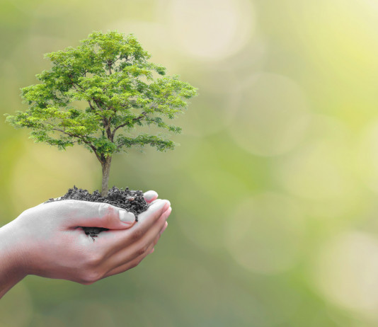 Il comitato scientifico della Fondazione Una si rinnova Il comitato scientifico della Fondazione Una si rinnova: piccola pianta tenuta in mano