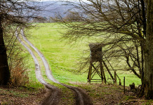 Approvato il calendario venatorio del Piemonte 2021/2022 Approvato il calendario venatorio del Piemonte 2021-2022: altana da caccia