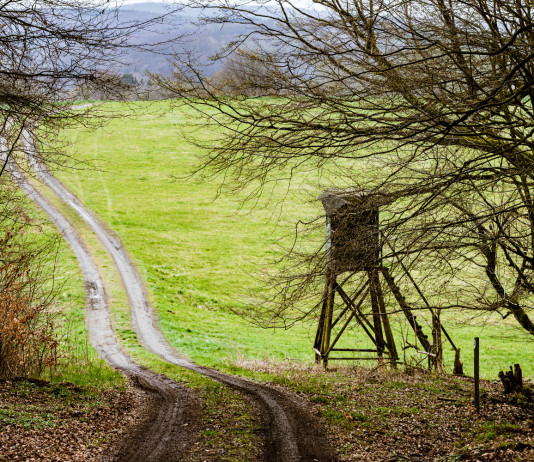 Approvato il calendario venatorio del Piemonte 2021/2022 Approvato il calendario venatorio del Piemonte 2021-2022: altana da caccia