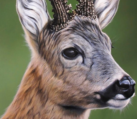 Caccia Magazine agosto 2021 in edicola Caccia Magazine agosto 2021 in edicola