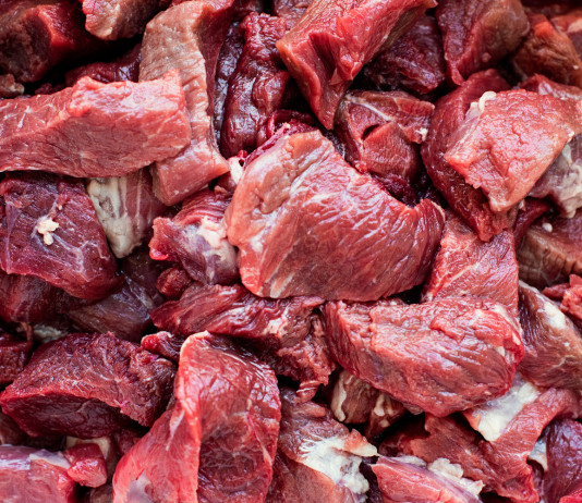 Carne di selvaggina al Banco alimentare, l’iniziativa della Toscana Carne di selvaggina al Banco alimentare: carne di cinghiale