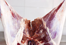 Centri di lavorazione della selvaggina in Lombardia, approvato emendamento Centri di lavorazione della selvaggina in Lombardia: carcassa di cinghiale scuoiata appesa