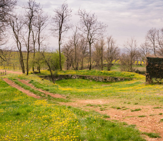 Costruzione degli appostamenti temporanei, la sentenza della Consulta Costruzione degli appostamenti temporanei: appostamento temporaneo di caccia