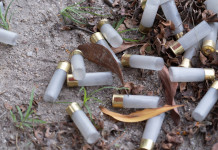 Munizioni in piombo, ecco come aderire alla causa Munizioni in piombo, ecco come aderire alla causa