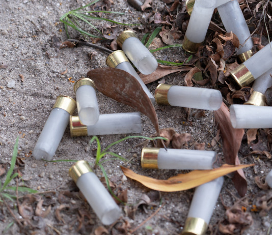 Munizioni in piombo, ecco come aderire alla causa Munizioni in piombo, ecco come aderire alla causa