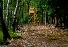 Referendum sulla caccia, cabina di regia: “È attacco alla fauna” referendum sulla caccia: altana da caccia