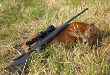 La carabina Sako S20 a caccia Sako_S20