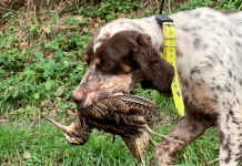 Beccacce che Passione 5 2021: in edicola Beccacce che Passione 5 2021