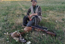 Caccia di selezione al capriolo: i criteri del prelievo Caccia di selezione al capriolo