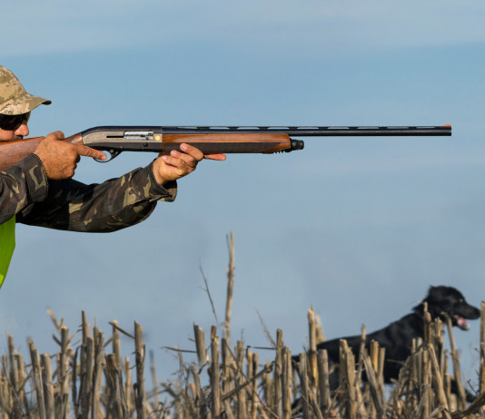 Caccia in Lombardia, chiesta uniformità delle procedure Caccia in Lombardia: cacciatore con cane in punteria prende la mira