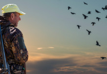Delusione di Federcaccia dopo l’incontro tra le associazioni venatorie e Fontana Delusione di Federcaccia dopo l’incontro tra le associazioni venatorie e Fontana: cacciatore guarda uccelli all'orizzonte