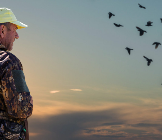 Delusione di Federcaccia dopo l’incontro tra le associazioni venatorie e Fontana Delusione di Federcaccia dopo l’incontro tra le associazioni venatorie e Fontana: cacciatore guarda uccelli all'orizzonte