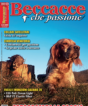 Beccacce che Passione n. 6 novembre-dicembre 2021 Beccacce che Passione
