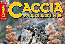 Caccia Magazine n. 11 novembre 2021