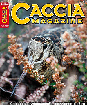 Caccia Magazine n. 11 novembre 2021
