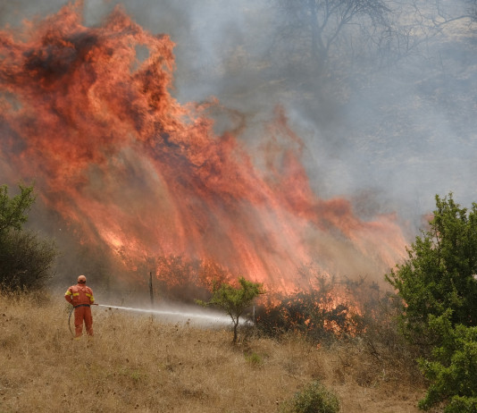 Caccia nelle zone incendiate, Arcicaccia scrive alla commissione Ambiente Caccia nelle zone incendiate: incendio a Geraci, Sicilia