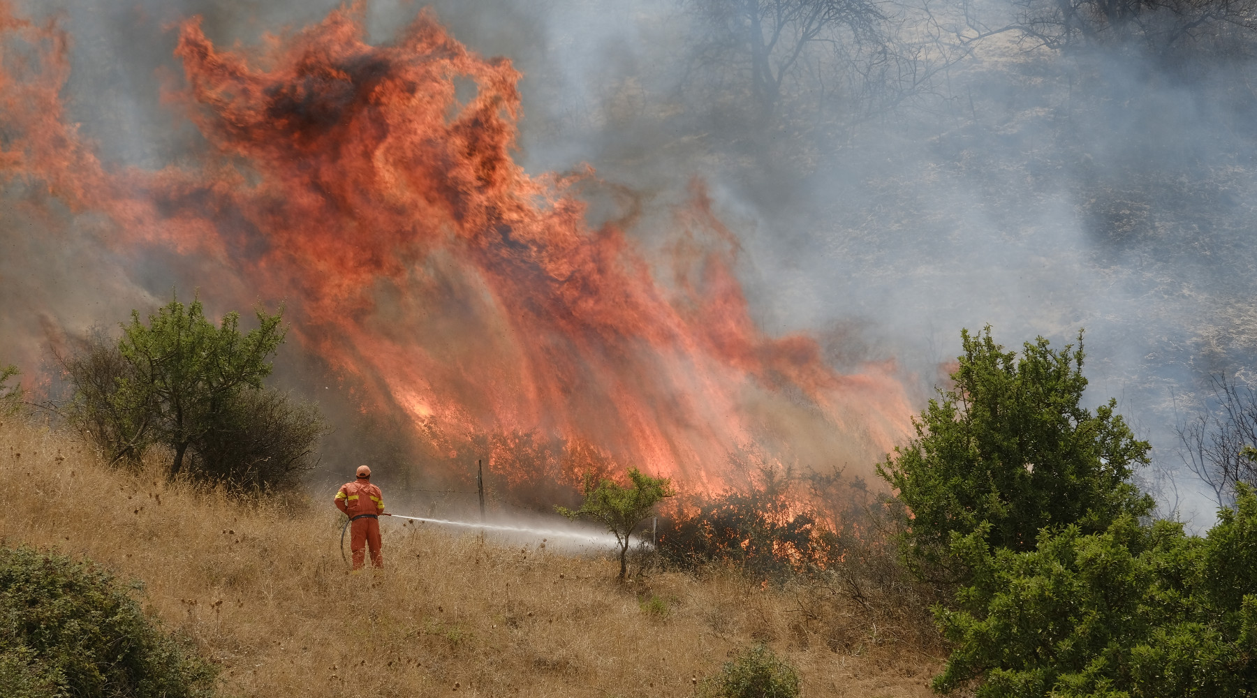 Caccia nelle zone incendiate: incendio a Geraci, Sicilia