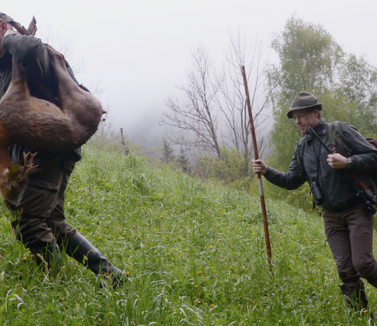 Caccia di selezione: i piani di prelievo si possono completare? piani di prelievo