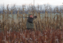 La caccia nell’epoca della transizione ecologica caccia