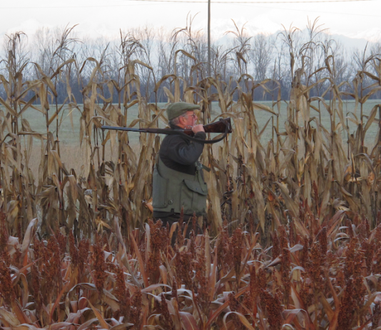 La caccia nell’epoca della transizione ecologica caccia