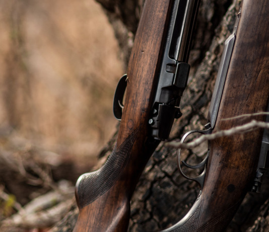 Confisca dell’arma dopo oblazione: la sentenza Confisca dell’arma dopo oblazione: due fucili appoggiati a tronco di un albero