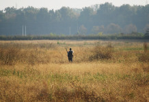 Natura pubblica degli Atc: la sentenza della Cassazione Natura pubblica degli Atc: cacciatore di spalle in ambiente collinare