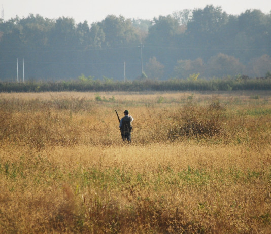 Natura pubblica degli Atc: la sentenza della Cassazione Natura pubblica degli Atc: cacciatore di spalle in ambiente collinare