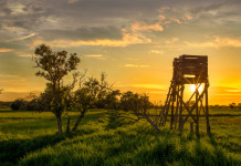 Referendum sulla caccia, la posizione di Federcaccia Referendum sulla caccia: altana al tramonto
