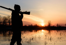 Associazione unica dei cacciatori: nuovo rilancio di Arcicaccia Associazione unica dei cacciatori: cacciatore in ambiente acquatico con fucile in spalla