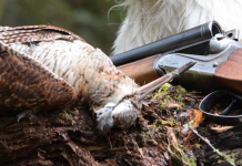 Beccacce che Passione 1 2022: in edicola Beccacce che Passione 1 2022