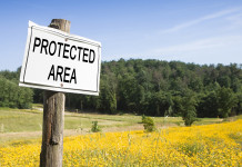 Aree protette in Campania, la sentenza del Tar Aree protette in Campania, la sentenza del Tar